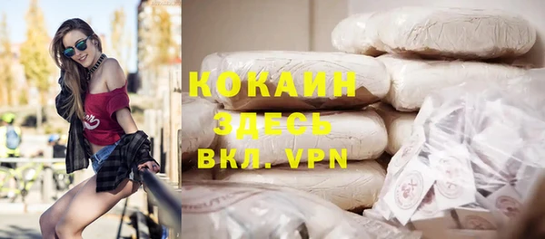 PSILOCYBIN Магас