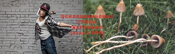 PSILOCYBIN Магас
