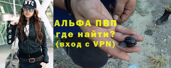 PSILOCYBIN Магас