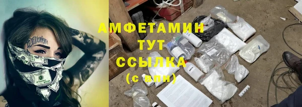 PSILOCYBIN Магас