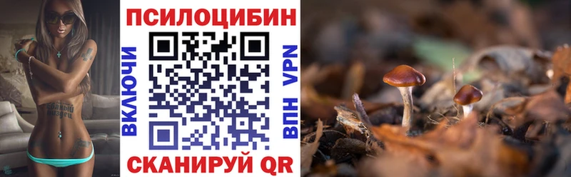 Галлюциногенные грибы MAGIC MUSHROOMS  KRAKEN онион  Красково  купить наркотики цена 